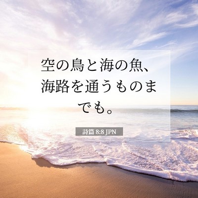 Picture 07 - 詩篇 8:8 JPN - 空の鳥と海の魚、海路を通うものま - Bible Verse Picture