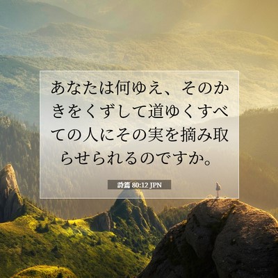 Picture 07 - 詩篇 80:12 JPN - あなたは何ゆえ、そのかきをくずし - Bible Verse Picture