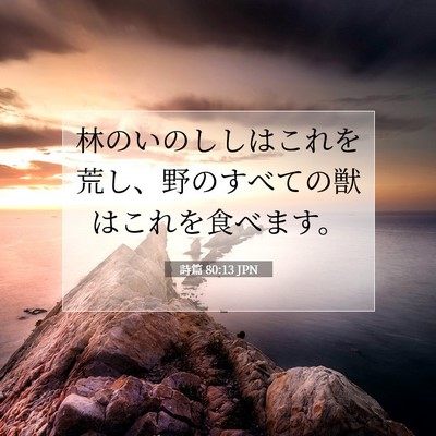 Picture 07 - 詩篇 80:13 JPN - 林のいのししはこれを荒し、野のす - Bible Verse Picture