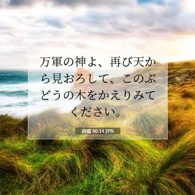 Picture 07 - 詩篇 80:14 JPN - 万軍の神よ、再び天から見おろして - Bible Verse Picture