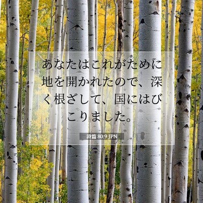 Picture 07 - 詩篇 80:9 JPN - あなたはこれがために地を開かれた - Bible Verse Picture