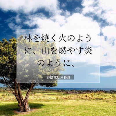 Picture 07 - 詩篇 83:14 JPN - 林を焼く火のように、山を燃やす炎 - Bible Verse Picture