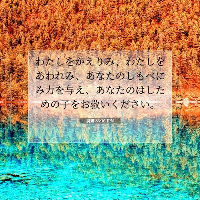 Picture 07 - 詩篇 86:16 JPN - わたしをかえりみ、わたしをあわれ - Bible Verse Picture