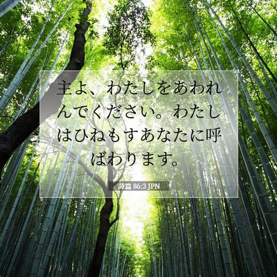Picture 07 - 詩篇 86:3 JPN - 主よ、わたしをあわれんでください - Bible Verse Picture