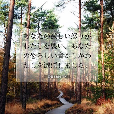 Picture 07 - 詩篇 88:16 JPN - あなたの激しい怒りがわたしを襲い - Bible Verse Picture