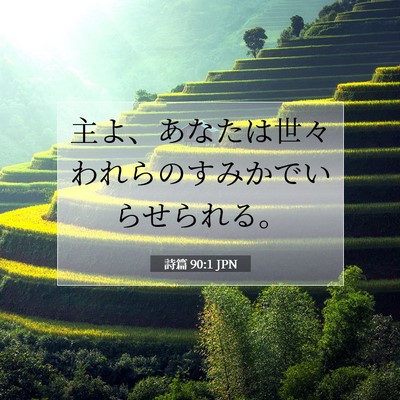 Picture 07 - 詩篇 90:1 JPN - 主よ、あなたは世々われらのすみか - Bible Verse Picture