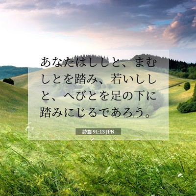 Picture 07 - 詩篇 91:13 JPN - あなたはししと、まむしとを踏み、 - Bible Verse Picture