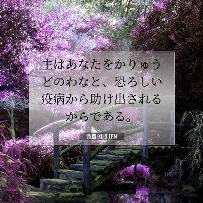 Picture 07 - 詩篇 91:3 JPN - 主はあなたをかりゅうどのわなと、 - Bible Verse Picture