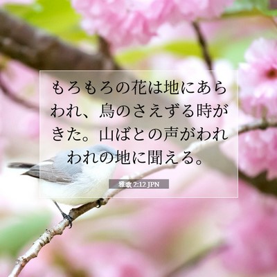 Picture 07 - 雅歌 2:12 JPN - もろもろの花は地にあらわれ、鳥の - Bible Verse Picture