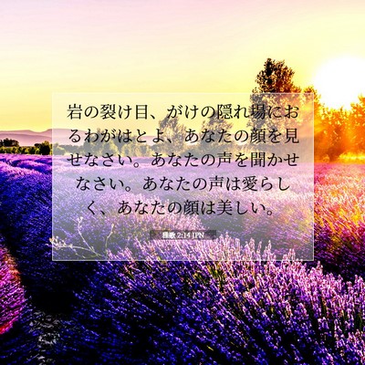 Picture 07 - 雅歌 2:14 JPN - 岩の裂け目、がけの隠れ場におるわ - Bible Verse Picture