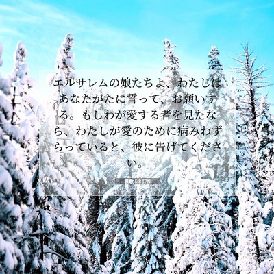 Picture 07 - 雅歌 5:8 JPN - エルサレムの娘たちよ、わたしはあ - Bible Verse Picture