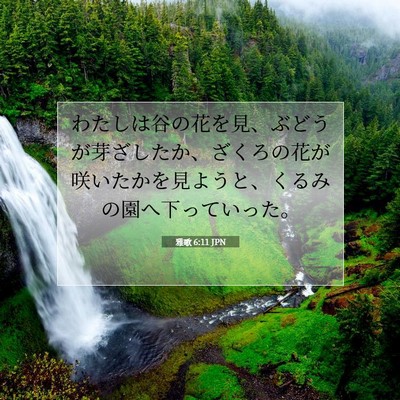 Picture 07 - 雅歌 6:11 JPN - わたしは谷の花を見、ぶどうが芽ざ - Bible Verse Picture