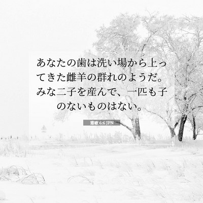 Picture 07 - 雅歌 6:6 JPN - あなたの歯は洗い場から上ってきた - Bible Verse Picture