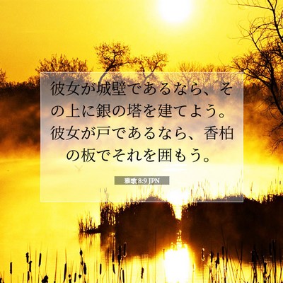 Picture 07 - 雅歌 8:9 JPN - 彼女が城壁であるなら、その上に銀 - Bible Verse Picture