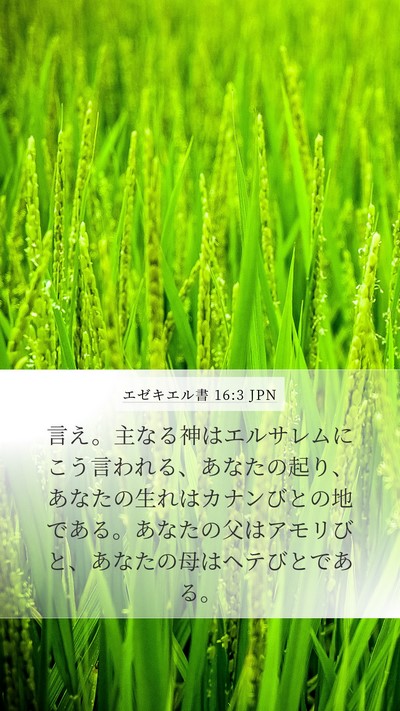 エゼキエル書 16:3 JPN Bible Verse Image