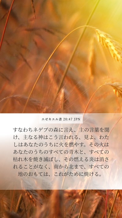 エゼキエル書 20:47 JPN Bible Verse Image