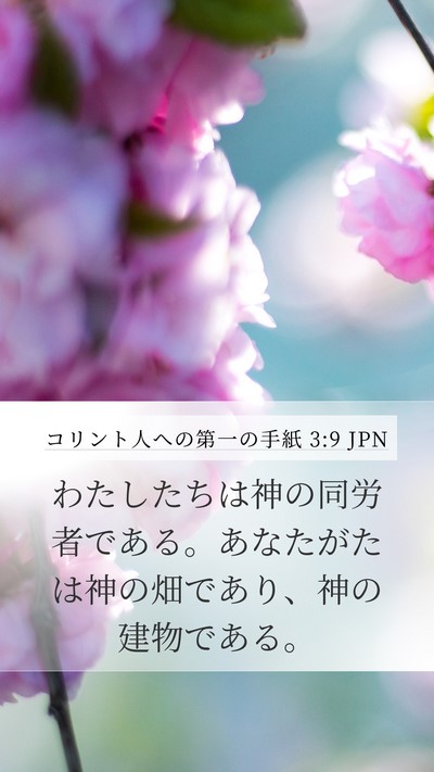 コリント人への第一の手紙 3:9 JPN Bible Verse Image