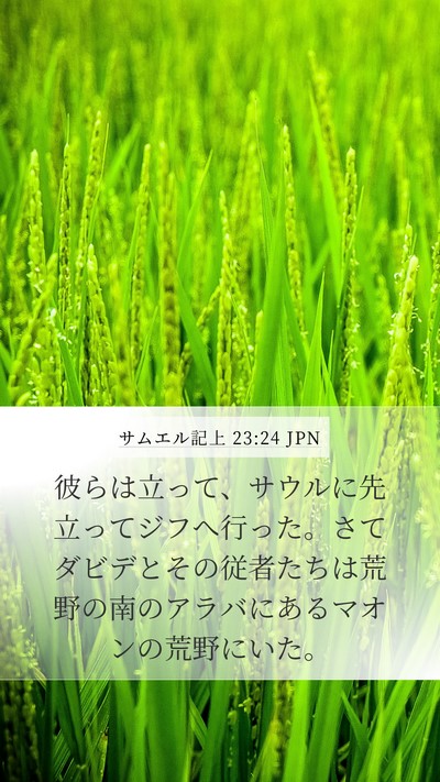 サムエル記上 23:24 JPN Bible Verse Image