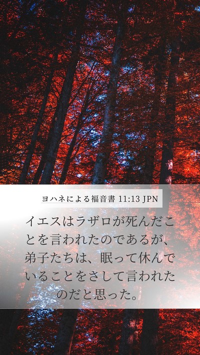 ヨハネによる福音書 11:13 JPN Mobile Phone Wallpaper - イエスはラザロが死んだことを言わ - Mobile Bible Verse Wallpaper