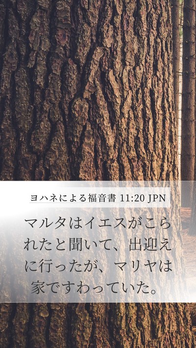 ヨハネによる福音書 11:20 JPN Mobile Phone Wallpaper - マルタはイエスがこられたと聞いて - Mobile Bible Verse Wallpaper