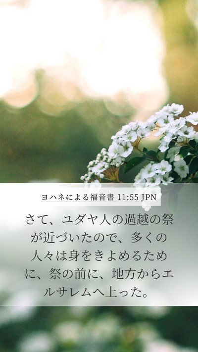 ヨハネによる福音書 11:55 JPN Bible Verse Image