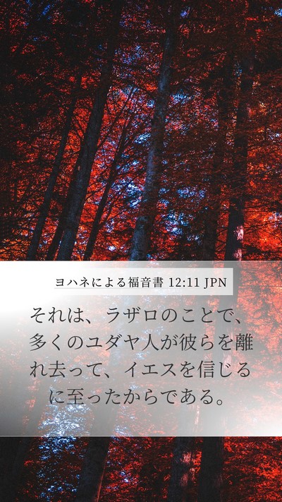 ヨハネによる福音書 12:11 JPN Bible Verse Image