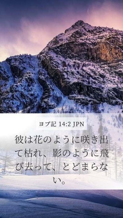 ヨブ記 14:2 JPN Bible Verse Image