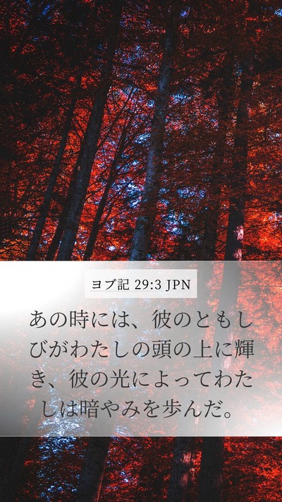 ヨブ記 29:3 JPN Bible Verse Image