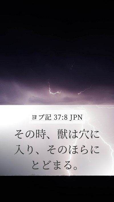 ヨブ記 37:8 JPN Mobile Phone Wallpaper - その時、獣は穴に入り、そのほらに - Mobile Bible Verse Wallpaper