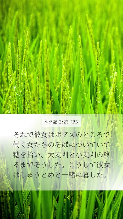 ルツ記 2:23 JPN Mobile Phone Wallpaper - それで彼女はボアズのところで働く - Mobile Bible Verse Wallpaper