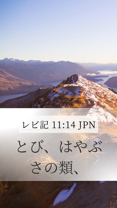 レビ記 11:14 JPN Mobile Phone Wallpaper - とび、はやぶさの類、 - Mobile Bible Verse Wallpaper