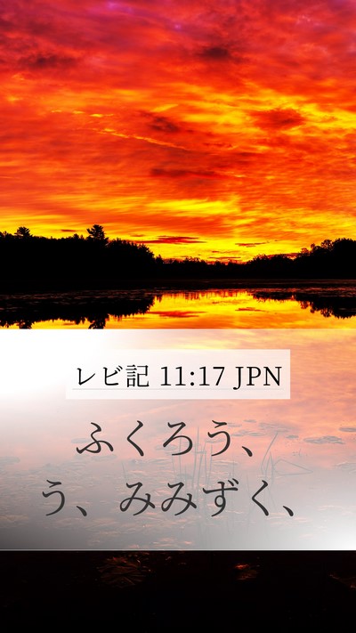 レビ記 11:17 JPN Mobile Phone Wallpaper - ふくろう、う、みみずく、 - Mobile Bible Verse Wallpaper