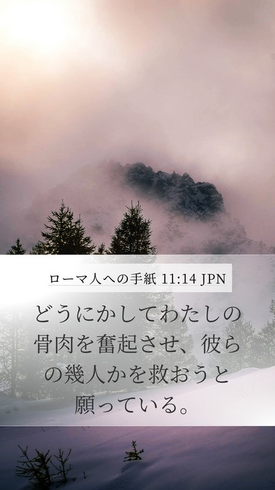 ローマ人への手紙 11:14 JPN Bible Verse Image
