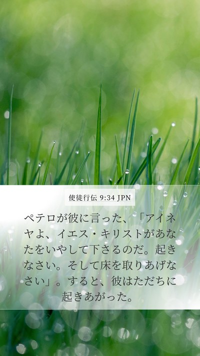 使徒行伝 9:34 JPN Bible Verse Image