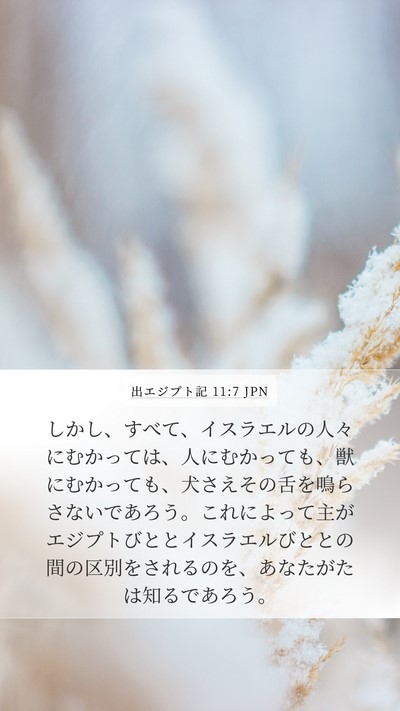 出エジプト記 11:7 JPN Bible Verse Image