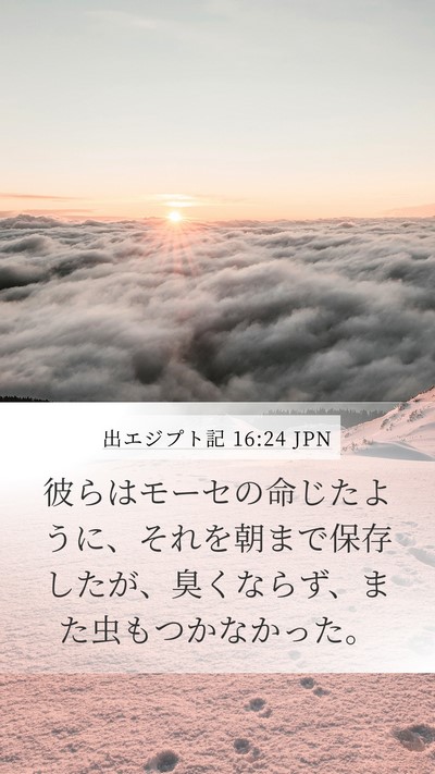 出エジプト記 16:24 JPN Mobile Phone Wallpaper - 彼らはモーセの命じたように、それ - Mobile Bible Verse Wallpaper