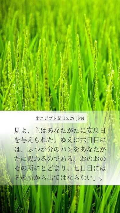 出エジプト記 16:29 JPN Bible Verse Image
