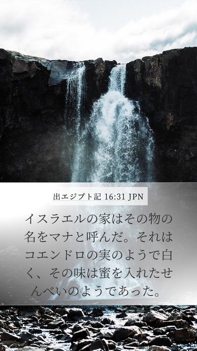 出エジプト記 16:31 JPN Bible Verse Image