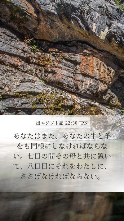 出エジプト記 22:30 JPN Bible Verse Image