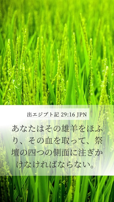 出エジプト記 29:16 JPN Bible Verse Image