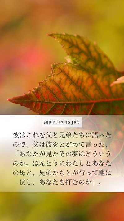 創世記 37:10 JPN Mobile Phone Wallpaper - 彼はこれを父と兄弟たちに語ったの - Mobile Bible Verse Wallpaper