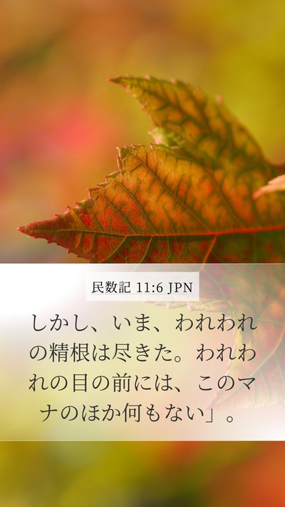 民数記 11:6 JPN Mobile Phone Wallpaper - しかし、いま、われわれの精根は尽 - Mobile Bible Verse Wallpaper
