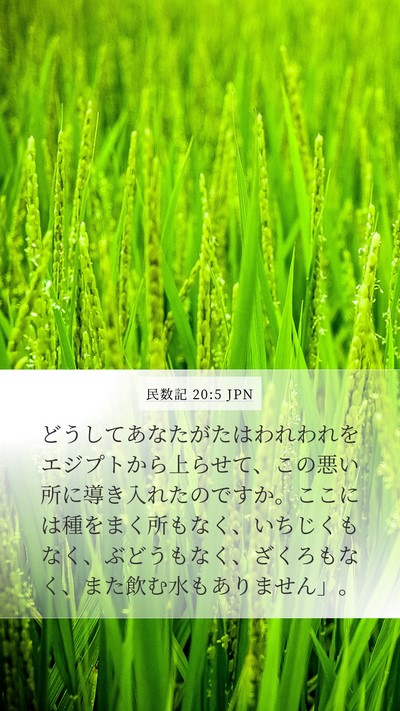 民数記 20:5 JPN Mobile Phone Wallpaper - どうしてあなたがたはわれわれをエ - Mobile Bible Verse Wallpaper