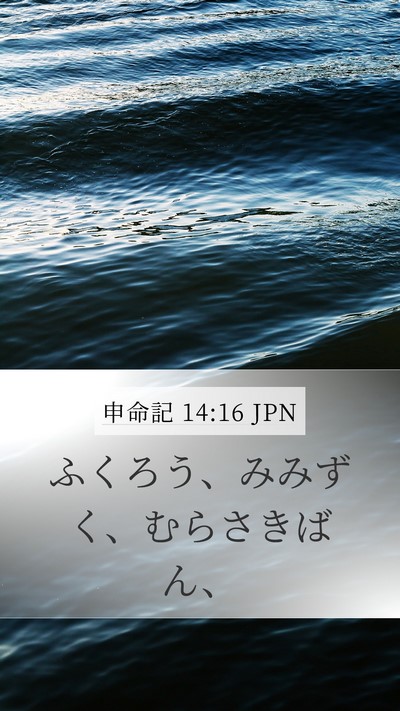 申命記 14:16 JPN Mobile Phone Wallpaper - ふくろう、みみずく、むらさきばん - Mobile Bible Verse Wallpaper