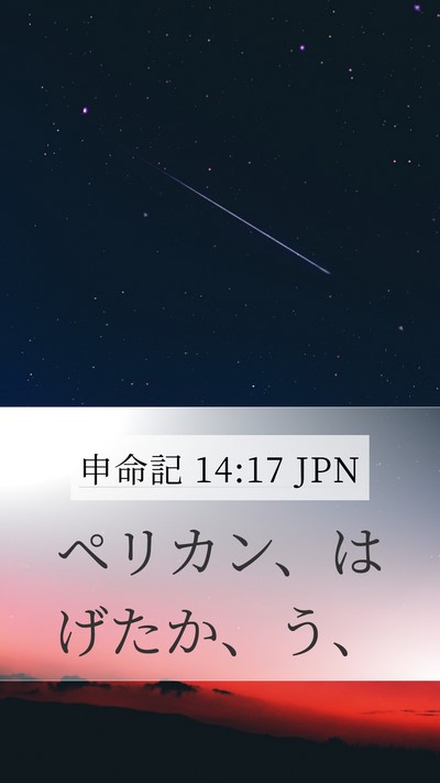申命記 14:17 JPN Mobile Phone Wallpaper - ペリカン、はげたか、う、 - Mobile Bible Verse Wallpaper