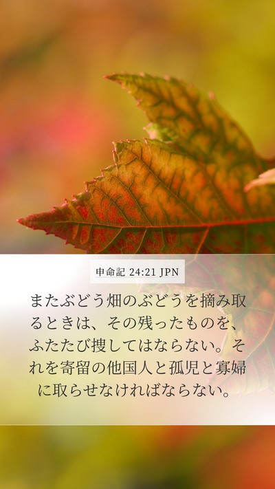 申命記 24:21 JPN Bible Verse Image