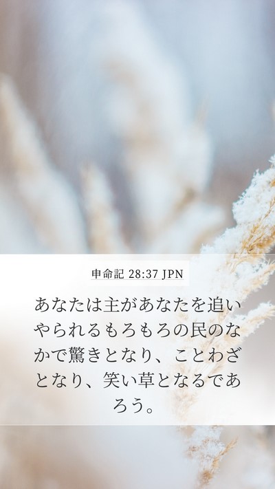 申命記 28:37 JPN Bible Verse Image