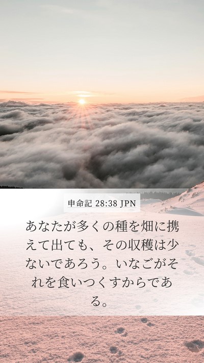 申命記 28:38 JPN Bible Verse Image