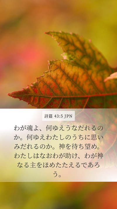 詩篇 43:5 JPN Bible Verse Image